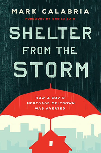 Shelter from the Storm cover