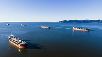 Harbor with ships