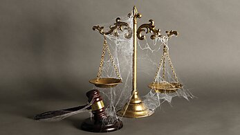 Free Society - Spring 2025 - Cobwebs Justice