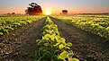 Farming