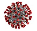 Coronavirus